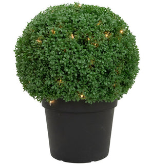 Product Image: 35133798 Decor/Faux Florals/Plants & Trees