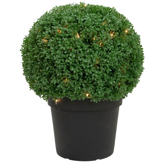 20" Pre-Lit Artificial Boxwood Ball Topiary in Round Pot - Clear Lights