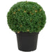 35133798 Decor/Faux Florals/Plants & Trees