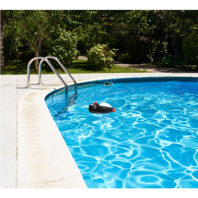 13" Cool Penguin Swimming Pool Chemical Dispenser