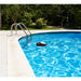 30924647 Outdoor/Pool Supplies/Pool Cleaning and Chemicals