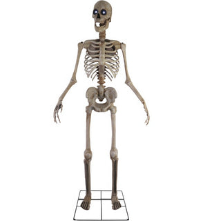 Product Image: HHTWRSKEL-2FLSA Holiday/Halloween/Halloween Indoor Decor