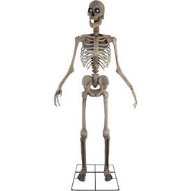 Seasonal Decor Tall Motion Activated Towering Skeleton Plug-In Halloween 8 Feet Natural Plastic 1 Piece