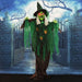HHWITCH-44FLSA Holiday/Halloween/Halloween Indoor Decor