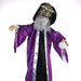 HHWIZARD-1FLSA Holiday/Halloween/Halloween Indoor Decor