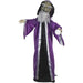 HHWIZARD-1FLSA Holiday/Halloween/Halloween Indoor Decor