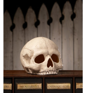 Product Image: TD4136 Holiday/Halloween/Halloween Indoor Decor