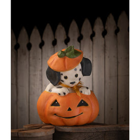 Poppy Puppy in Pumpkin