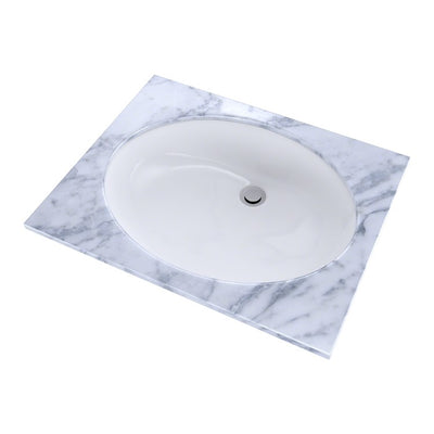 Dantesca 21-1/4 Oval Undermount Bathroom Sink