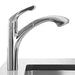 04076000 Kitchen/Kitchen Faucets/Pull Out Spray Faucets