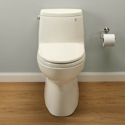 Carlyle II Elongated One-Piece High-Efficiency Toilet with Seat
