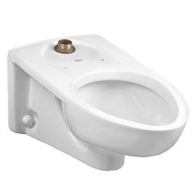 Afwall Millennium Wall-Mount FloWise Elongated Flushometer Toilet Bowl with Back Spud