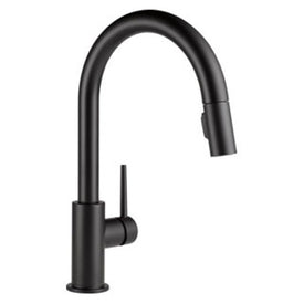 Trinsic Single Handle Pull Down Kitchen Faucet