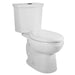 735138-400.020 Parts & Maintenance/Toilet Parts/Toilet Tank Covers