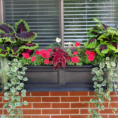 Fairfield 60" Window Box