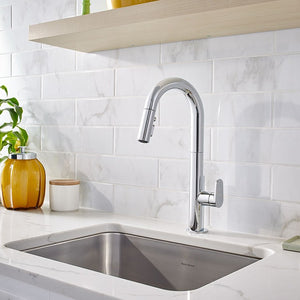 4931.300.002 Kitchen/Kitchen Faucets/Pull Down Spray Faucets