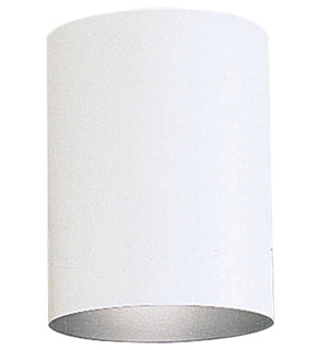 Product Image: P5774-30 Lighting/Outdoor Lighting/Outdoor Flush & Semi-Flush Lights