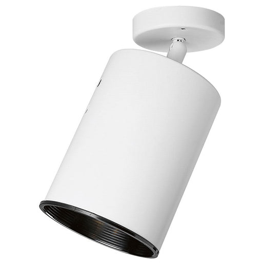 Directional Single-Light Flat Back Wall/Ceiling Light