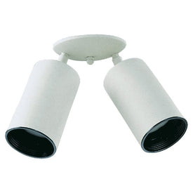 6" Two-Light Flush Mount Ceiling Fixture