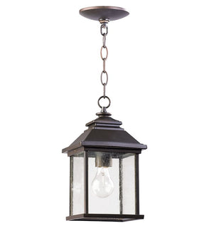 Product Image: 7941-7-86 Lighting/Outdoor Lighting/Outdoor Pendants