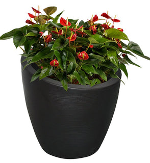 Product Image: 8879-B Outdoor/Lawn & Garden/Planters