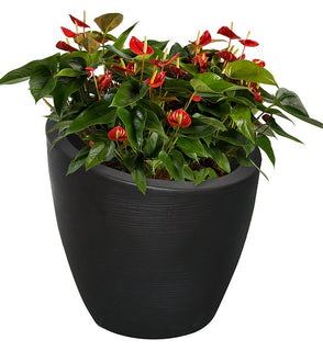 Product Image: 8884-B Outdoor/Lawn & Garden/Planters