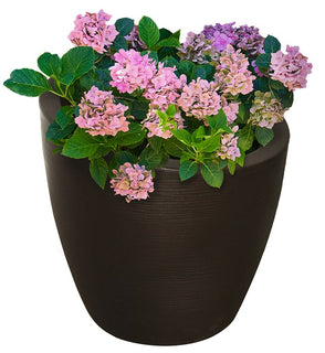 Product Image: 8884-ES Outdoor/Lawn & Garden/Planters