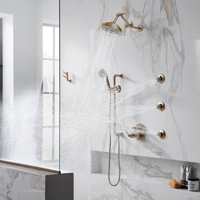 Litze H2OKinetic Four-Function Raincan Shower Head