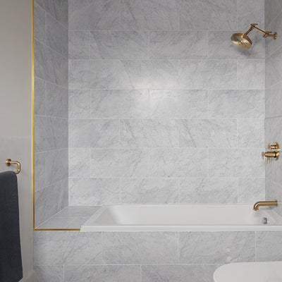 Litze H2OKinetic Four-Function Raincan Shower Head