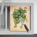 235010 Kitchen/Cutlery/Cutting Boards