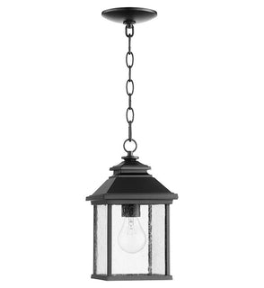 Product Image: 7941-7-69 Lighting/Outdoor Lighting/Outdoor Pendants