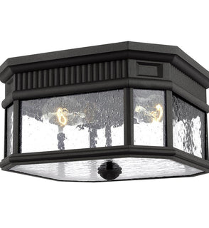 Product Image: OL5433BK Lighting/Outdoor Lighting/Outdoor Flush & Semi-Flush Lights