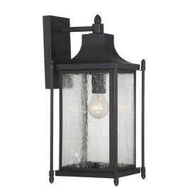Dunnmore Single-Light Outdoor Wall Mount Lantern