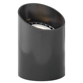 35-Watt PAR36 Reversible Well Light