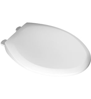 Product Image: 5321A65CT020 Parts & Maintenance/Toilet Parts/Toilet Seats