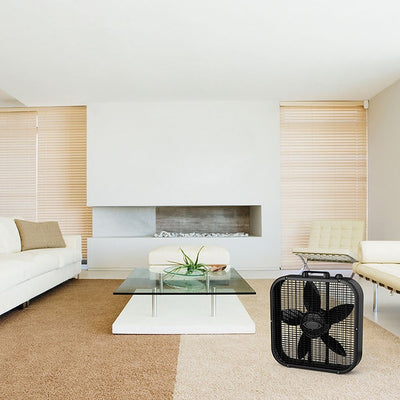 Decor Colors 20" Three-Speed Box Fan