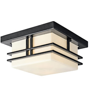 Product Image: 49206BK Lighting/Outdoor Lighting/Outdoor Flush & Semi-Flush Lights