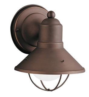 Product Image: 9021OZ Lighting/Outdoor Lighting/Outdoor Wall Lights