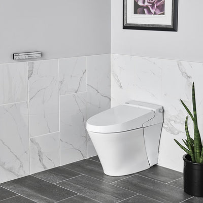 Advanced Clean 100 SpaLet One-Piece Bidet Toilet