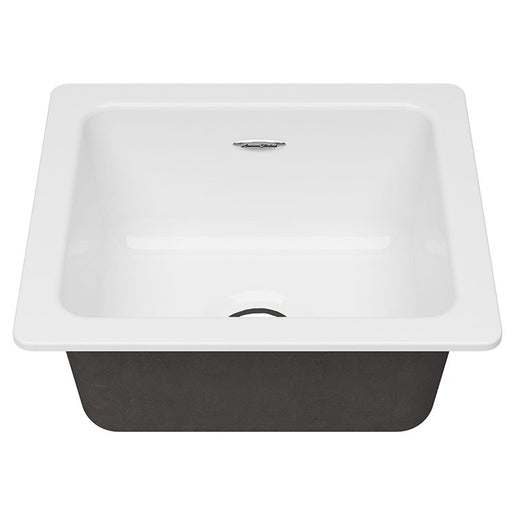Delancey 18" x 16" Single Bowl Cast Iron Undermount Bar/Prep Sink