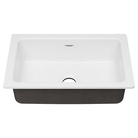 Delancey 30" x 19" Single Bowl Cast Iron Undermount Kitchen Sink