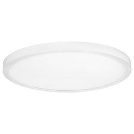 18" Edgelit Surface Mount Ceiling Fixture