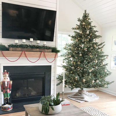 7.5-Ft. Foxtail Pine Christmas Tree with Smart String Lights