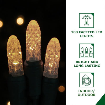 Christmas Indoor/Outdoor LED Lights 30" Snowflake in Warm White