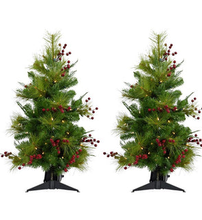 Product Image: FFNP042-5GRB/SET2 Holiday/Christmas/Christmas Trees