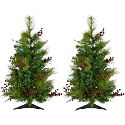 3-Ft. Newberry Pine Artificial Trees with Battery-Operated Multi-Colored LED String Lights Set of 2