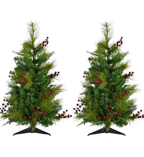 Product Image: FFNP042-6GRB/SET2 Holiday/Christmas/Christmas Trees