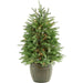 FFPP040-1GR Holiday/Christmas/Christmas Trees