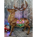 FFRS060-RD1-BRN Holiday/Christmas/Christmas Outdoor Decor