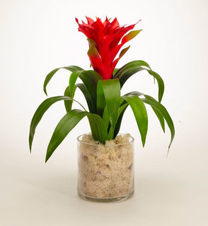 Product Image: F1418GR Decor/Faux Florals/Floral Arrangements
